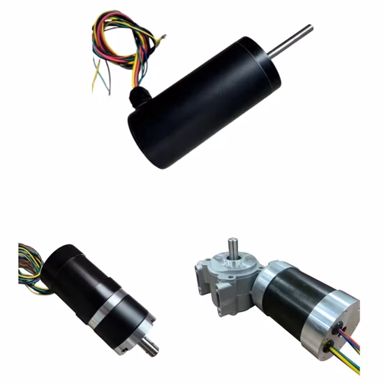 High Quality Good Price Size 28mm-130mm/ Power 10W-2000W/ CE RoHS / Customizable / BLDC Brushless DC Motors Option with Gearbox Controller Brake Encoder
