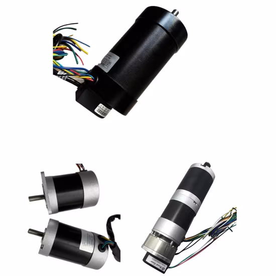 High Quality Good Price Size 28mm-130mm/ Power 10W-2000W/ CE RoHS / Customizable / BLDC Brushless DC Motors Option with Gearbox Controller Brake Encoder